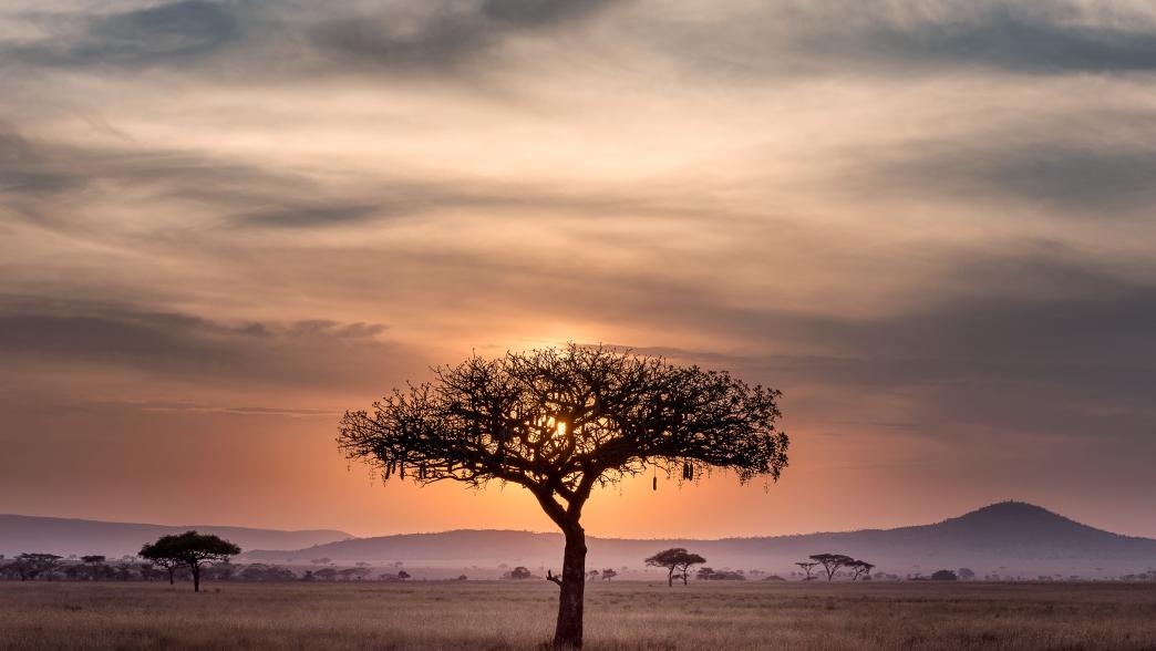 Tsavo East National Park Kenya