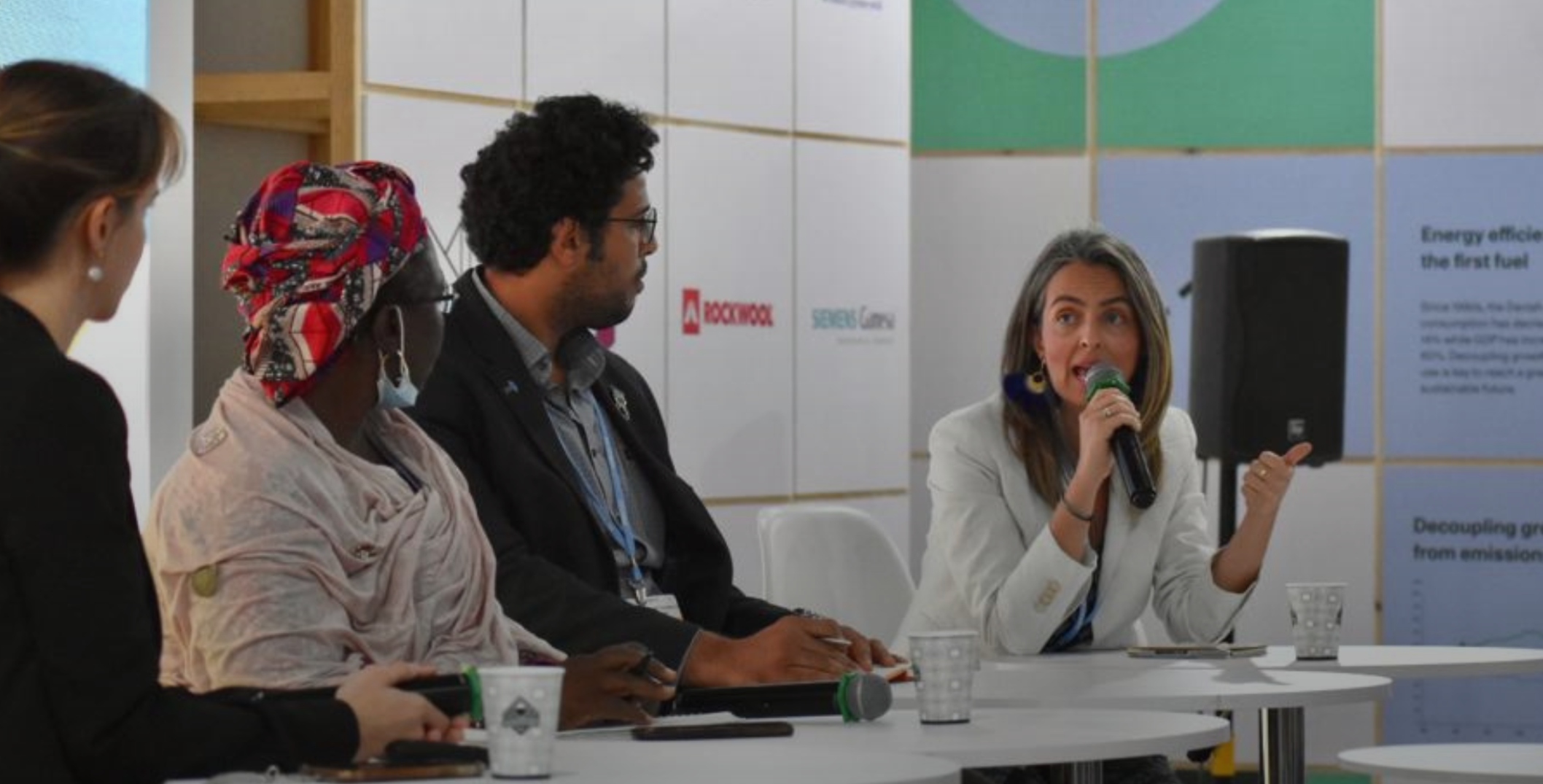 NRGI's Ana Carolina González Espinosa speaking at COP27 conference