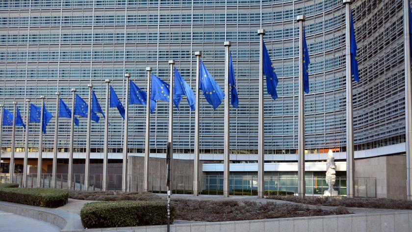 EU building flags
