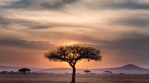 Tsavo East National Park Kenya