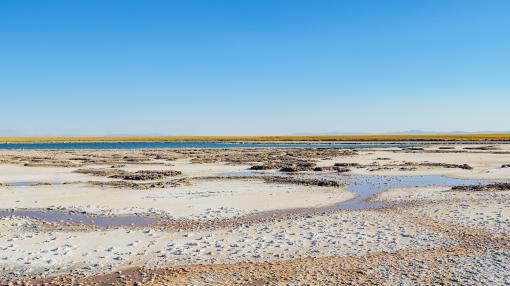 Salar de Atacama in Chile