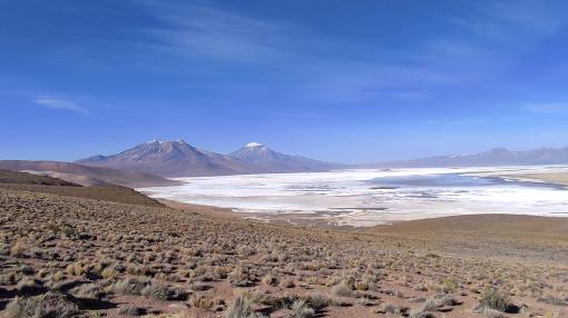 Salar de Surirea, Chile