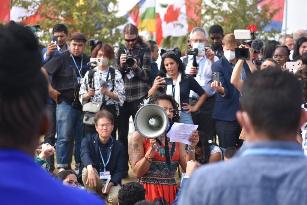 Activists protest against fossil fuel use at the COP27 climate conference.